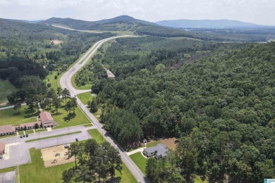 This pristine home at McClellan is LIKE NEW! Built in 2022, this on Cane Creek Golf Course in Alabama - for sale on GolfHomes.com, golf home, golf lot