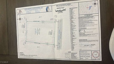 *** CLEARED AND UPLANDS - SURVEY AVAILABLE ***. Environmental on Mirror Lakes Golf Club in Florida - for sale on GolfHomes.com, golf home, golf lot