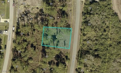 *** CLEARED AND UPLANDS - SURVEY AVAILABLE ***. Environmental on Mirror Lakes Golf Club in Florida - for sale on GolfHomes.com, golf home, golf lot
