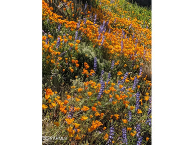 Welcome home to this beautiful single-level residence offering 1 on Legend Trail Golf Club in Arizona - for sale on GolfHomes.com, golf home, golf lot