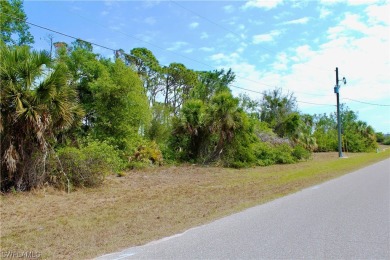 Introducing a fresh opportunity to own a spectacular vacant lot on Rotonda Golf and Country Club - Long Marsh  in Florida - for sale on GolfHomes.com, golf home, golf lot