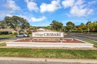 Spectacular Golf course view from this Gorgeous single level on Villages Golf and Country Club in California - for sale on GolfHomes.com, golf home, golf lot