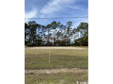 Here is an excellent opportunity to build your dream home in the on Eagle Nest Golf Club in South Carolina - for sale on GolfHomes.com, golf home, golf lot