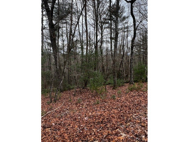 The mountains are calling and this Buckhorn Estates corner on White Path Golf Club in Georgia - for sale on GolfHomes.com, golf home, golf lot