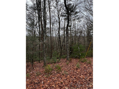 The mountains are calling and this Buckhorn Estates corner on White Path Golf Club in Georgia - for sale on GolfHomes.com, golf home, golf lot