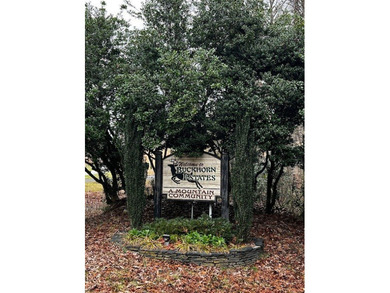 The mountains are calling and this Buckhorn Estates corner on White Path Golf Club in Georgia - for sale on GolfHomes.com, golf home, golf lot