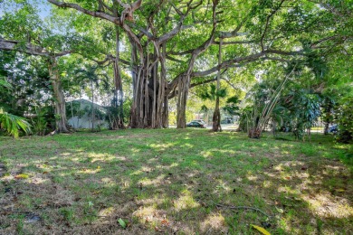A beautifully treed vacant lot, 135 X 87.50, ready to build and on Lake Worth Municipal Golf Course in Florida - for sale on GolfHomes.com, golf home, golf lot