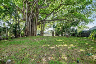 A beautifully treed vacant lot, 135 X 87.50, ready to build and on Lake Worth Municipal Golf Course in Florida - for sale on GolfHomes.com, golf home, golf lot