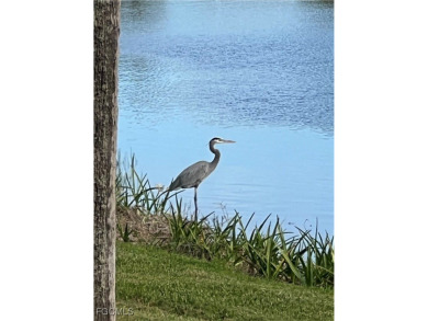 This gated Golf & Tennis community enjoys an excellent location on Kelly Greens Golf and Country Club in Florida - for sale on GolfHomes.com, golf home, golf lot