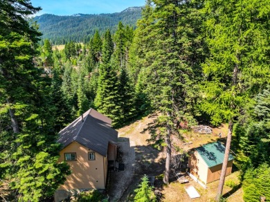 RARE INVESTMENT in ROYAL SCOT DEVELOPMENT!!!    3 parcels on Osprey Meadows at Tamarack Resort in Idaho - for sale on GolfHomes.com, golf home, golf lot