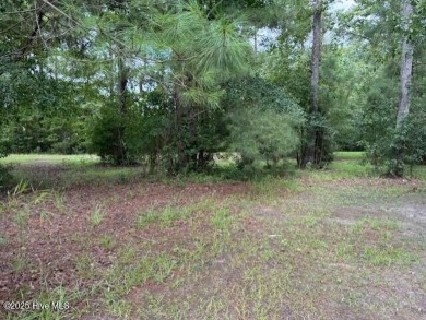 Come build your custom home, pick your builder to live in one of on Brunswick Plantation and Golf Resorts in North Carolina - for sale on GolfHomes.com, golf home, golf lot