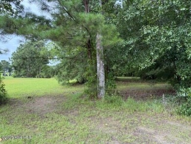 Come build your custom home, pick your builder to live in one of on Brunswick Plantation and Golf Resorts in North Carolina - for sale on GolfHomes.com, golf home, golf lot