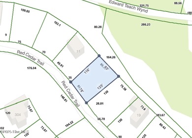 Located on the 15th tee box of the beautiful golf course sits on Bald Head Island Golf Club in North Carolina - for sale on GolfHomes.com, golf home, golf lot