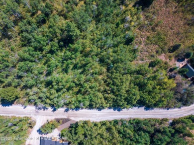 Gorgeous 1 acre treed lot in a very quiet spot in Star Valley on Star Valley RV Golf Course in Wyoming - for sale on GolfHomes.com, golf home, golf lot