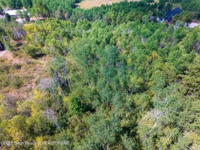 Gorgeous 1 acre treed lot in a very quiet spot in Star Valley on Star Valley RV Golf Course in Wyoming - for sale on GolfHomes.com, golf home, golf lot