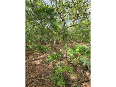 This beautiful 62 ac. tract with highway frontage off of NW on Chiefland Golf and Country Club in Florida - for sale on GolfHomes.com, golf home, golf lot