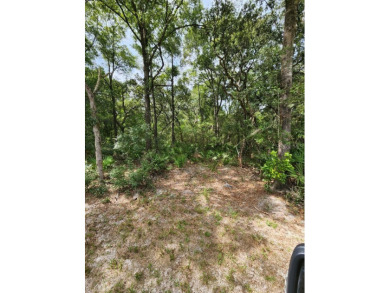 This beautiful 62 ac. tract with highway frontage off of NW on Chiefland Golf and Country Club in Florida - for sale on GolfHomes.com, golf home, golf lot