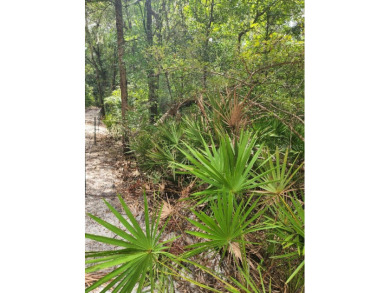 This beautiful 62 ac. tract with highway frontage off of NW on Chiefland Golf and Country Club in Florida - for sale on GolfHomes.com, golf home, golf lot