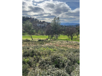 Nestled along the serene fairways of a prestigious golf course on Hidden Valley Lake Golf and Country Club in California - for sale on GolfHomes.com, golf home, golf lot