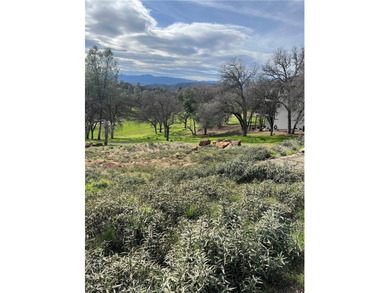 Nestled along the serene fairways of a prestigious golf course on Hidden Valley Lake Golf and Country Club in California - for sale on GolfHomes.com, golf home, golf lot