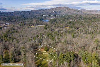 Located in High Hampton, a sought-after community defined by a on High Hampton Inn and Country Club in North Carolina - for sale on GolfHomes.com, golf home, golf lot