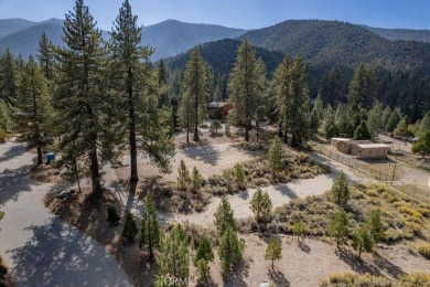 COMMERCIAL LOT: SELLER MAY CONSIDER CARRYING PAPER. This is a on Pine Mountain Club in California - for sale on GolfHomes.com, golf home, golf lot