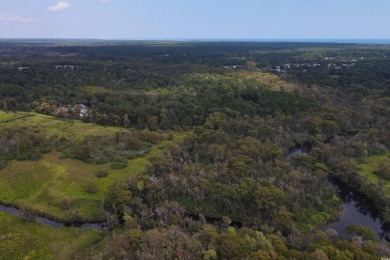 JUST STEPS TO THE WACCAMAW RIVER and a short bike ride to the on The Reserve Golf Club at Pawleys Island in South Carolina - for sale on GolfHomes.com, golf home, golf lot