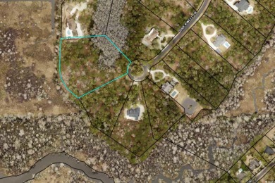 JUST STEPS TO THE WACCAMAW RIVER and a short bike ride to the on The Reserve Golf Club at Pawleys Island in South Carolina - for sale on GolfHomes.com, golf home, golf lot