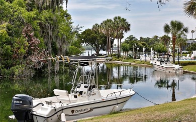 Beautiful golf course view homesite ready for your dream home on Skyview At Terra Vista Golf and Country Club in Florida - for sale on GolfHomes.com, golf home, golf lot