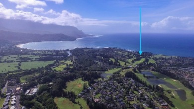 Find Your Place in Paradise: A Hidden Gem on Kaua'i's North on Makai Golf Club At Princeville in Hawaii - for sale on GolfHomes.com, golf home, golf lot