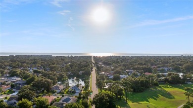 Welcome to 1603 Polo Club Drive, a beautifully maintained on Tarpon Springs Golf Course in Florida - for sale on GolfHomes.com, golf home, golf lot