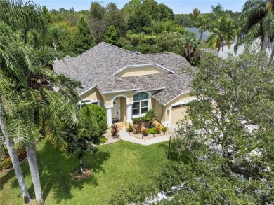 Discover timeless elegance in this stunning, oversized on Westchase Golf Club in Florida - for sale on GolfHomes.com, golf home, golf lot