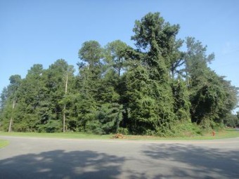 Build your dream home on this beautiful corner lot in Woodlawn on  in Alabama - for sale on GolfHomes.com, golf home, golf lot