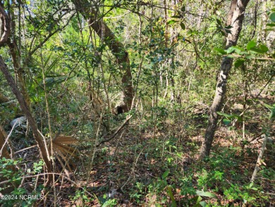 Very  attractive, buildable homesite located in the Maritime on Bald Head Island Golf Club in North Carolina - for sale on GolfHomes.com, golf home, golf lot