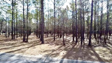 Beautifully situated homesite tucked away on a quiet street in on Tigers Eye Golf Links in North Carolina - for sale on GolfHomes.com, golf home, golf lot