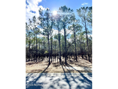 Beautifully situated homesite tucked away on a quiet street in on Tigers Eye Golf Links in North Carolina - for sale on GolfHomes.com, golf home, golf lot