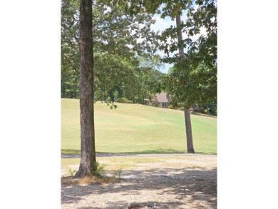 Nice all-brick home with vinyl accents located on Magellan Golf on Magellan Golf Course in Arkansas - for sale on GolfHomes.com, golf home, golf lot