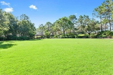 Under contract-accepting backup offers. Welcome to your UPDATED on Westchase Golf Club in Florida - for sale on GolfHomes.com, golf home, golf lot