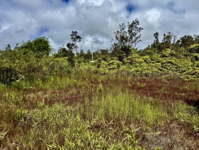 Experience the peaceful beauty of Volcano, Hawaii with this on Volcano Golf and Country Club in Hawaii - for sale on GolfHomes.com, golf home, golf lot