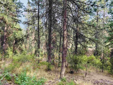 Attention Builders  Investors! Don't miss this prime on Indian Canyon Golf Course in Washington - for sale on GolfHomes.com, golf home, golf lot