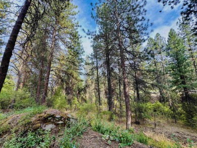 Attention Builders  Investors! Don't miss this prime on Indian Canyon Golf Course in Washington - for sale on GolfHomes.com, golf home, golf lot