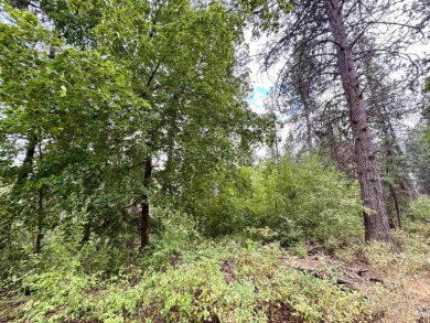 Attention Builders  Investors! Don't miss this prime on Indian Canyon Golf Course in Washington - for sale on GolfHomes.com, golf home, golf lot