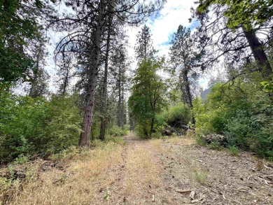 Attention Builders  Investors! Don't miss this prime on Indian Canyon Golf Course in Washington - for sale on GolfHomes.com, golf home, golf lot