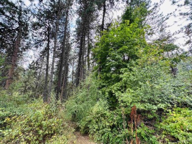 Attention Builders  Investors! Don't miss this prime on Indian Canyon Golf Course in Washington - for sale on GolfHomes.com, golf home, golf lot