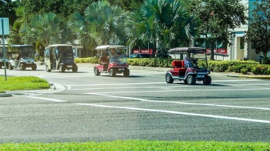 This furnished condo is located in Kings Point where your on Falcon Watch Golf Club in Florida - for sale on GolfHomes.com, golf home, golf lot