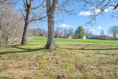 Gorgeous golf-frontage property in Fairfield Glade with an on Druid Hills Golf Club in Tennessee - for sale on GolfHomes.com, golf home, golf lot