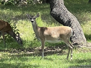 A great lot for building your dream home in the highly desirable on River Crossing Club in Texas - for sale on GolfHomes.com, golf home, golf lot