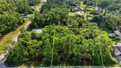 Build your dream on this oversized half-acre lot in the growing on Lehigh Resort Club in Florida - for sale on GolfHomes.com, golf home, golf lot