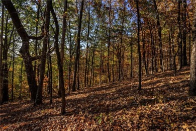 Welcome to Skyline Drive, located in the Bluffs of Ridgeview of on Big Canoe Golf Club - Cherokee in Georgia - for sale on GolfHomes.com, golf home, golf lot