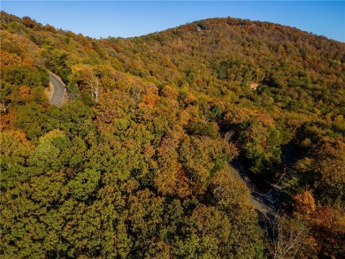 Welcome to Skyline Drive, located in the Bluffs of Ridgeview of on Big Canoe Golf Club - Cherokee in Georgia - for sale on GolfHomes.com, golf home, golf lot